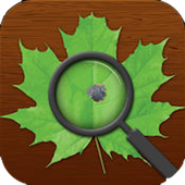 app icon of a plant