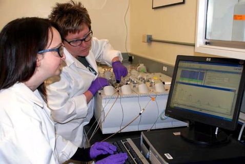 nutrient lab