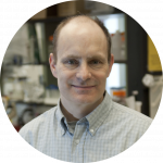 David Goldhamer, Ph.D.
