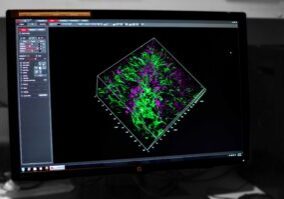 Image Analysis Workstation