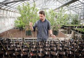 researcher testing soil levels
