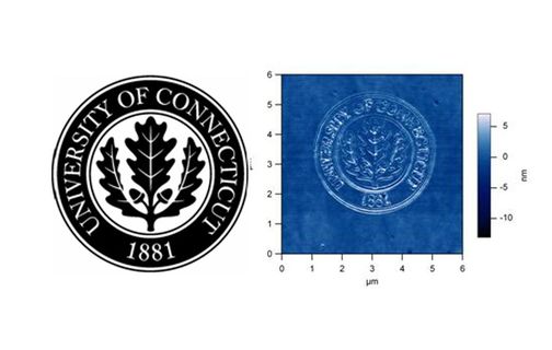 UConn seal and its surface reading