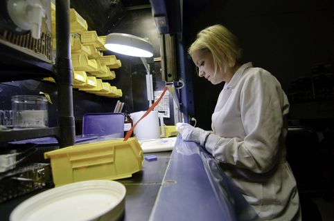 veterinary medical diagnosis lab