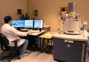 microscope SEM scanning electron