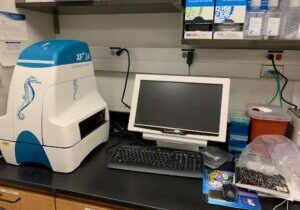 seahorse analysis machine