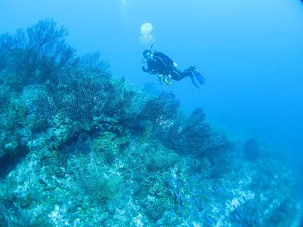 Rankin Seawater Facility Background Img
