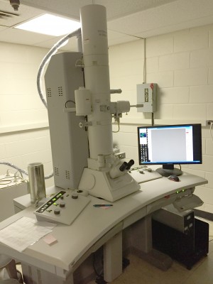 Hitachi H-7650 Transmission Electron Microscope Image