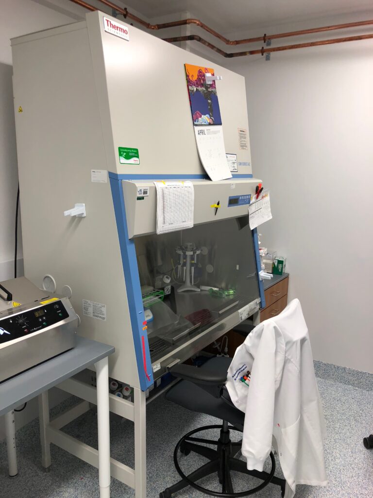 ABSL-2 Cell/Tissue Culture Image