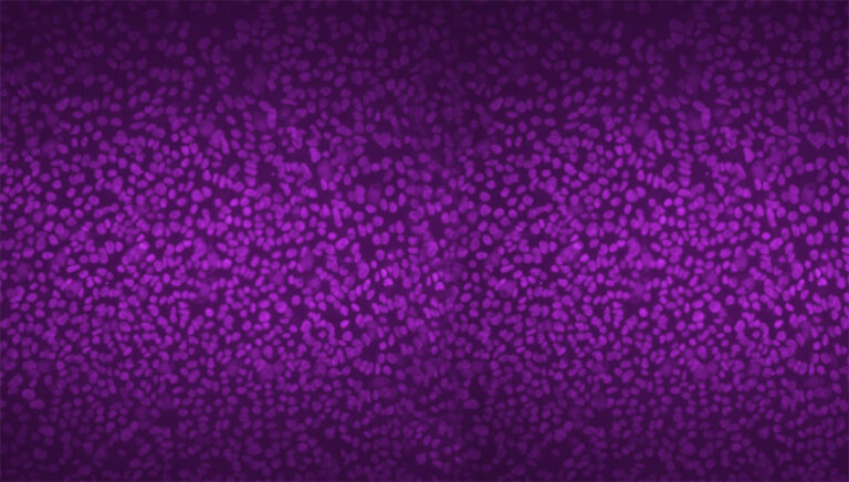 Recombineering-based Method Image