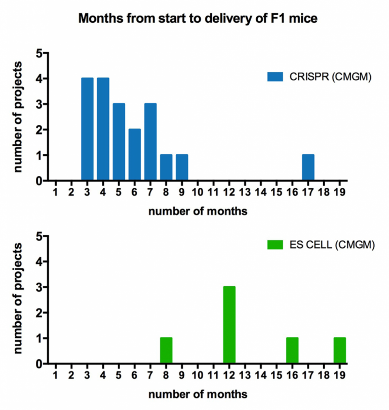 Image of mouse statistic chart