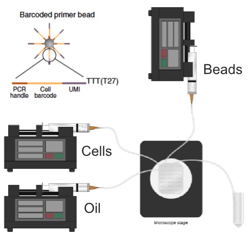 Drop-Seq Experiment Instrumentation Image