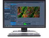 IMAGING01