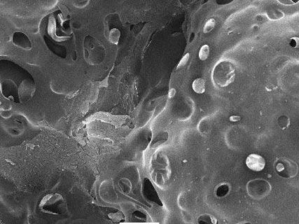 Central Electron Microscopy Facility (CEMF) Background Img