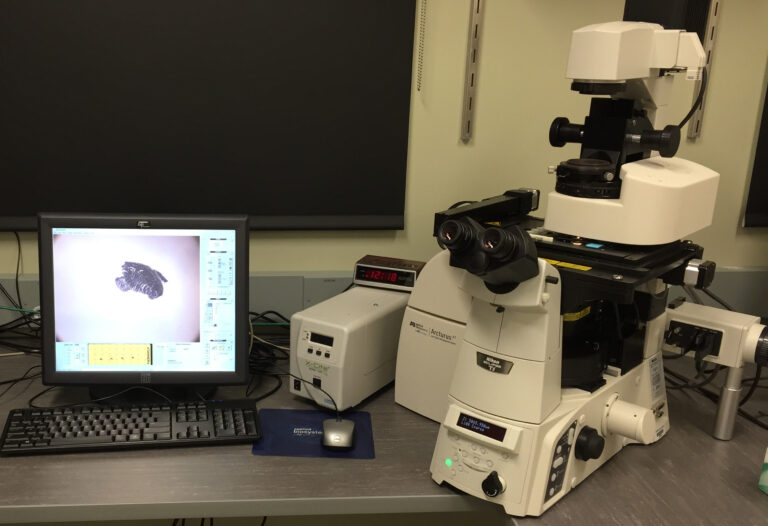 ArcturusXTTM Laser Microdissection Instrument