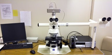 Image of a Microscope with Camera