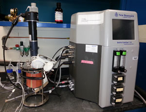 New Brunswick BioFlo/CelliGen 115 Fermenter/Bioreactor