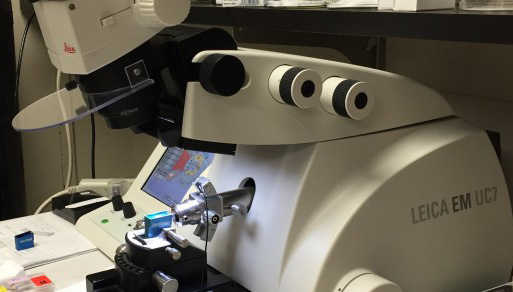 Sample Preparation Instruments image