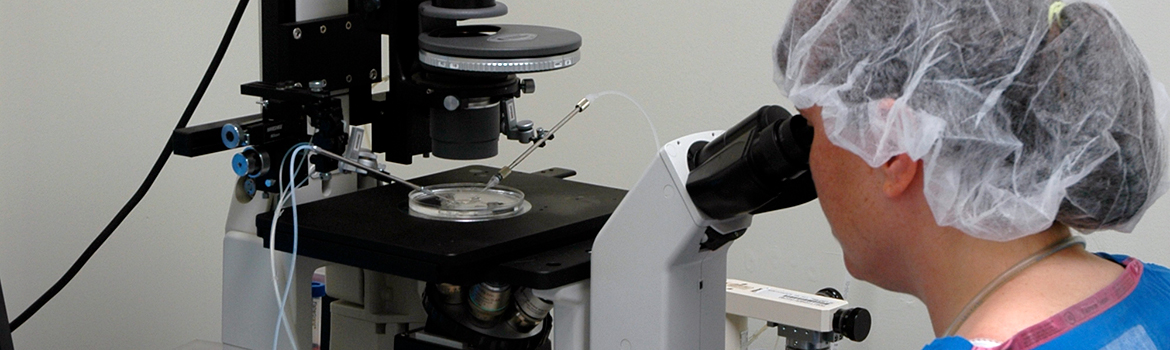 Person observing a sample