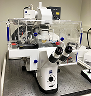 Zeiss LSM 880 Confocal Microscope