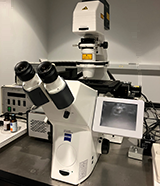 Zeiss Observer Z1 - TIRF